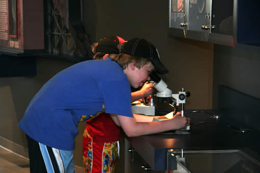 Microscope activities in our Fossil Lab offer hands-on learning and discovery